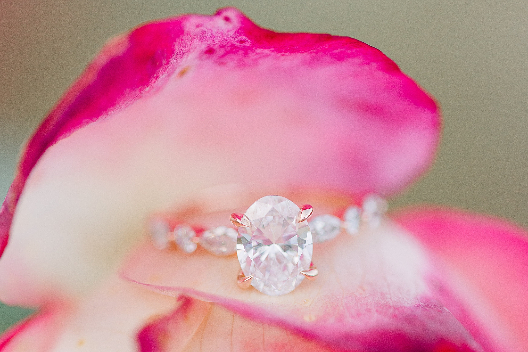 diamond engagement ring on pink petal