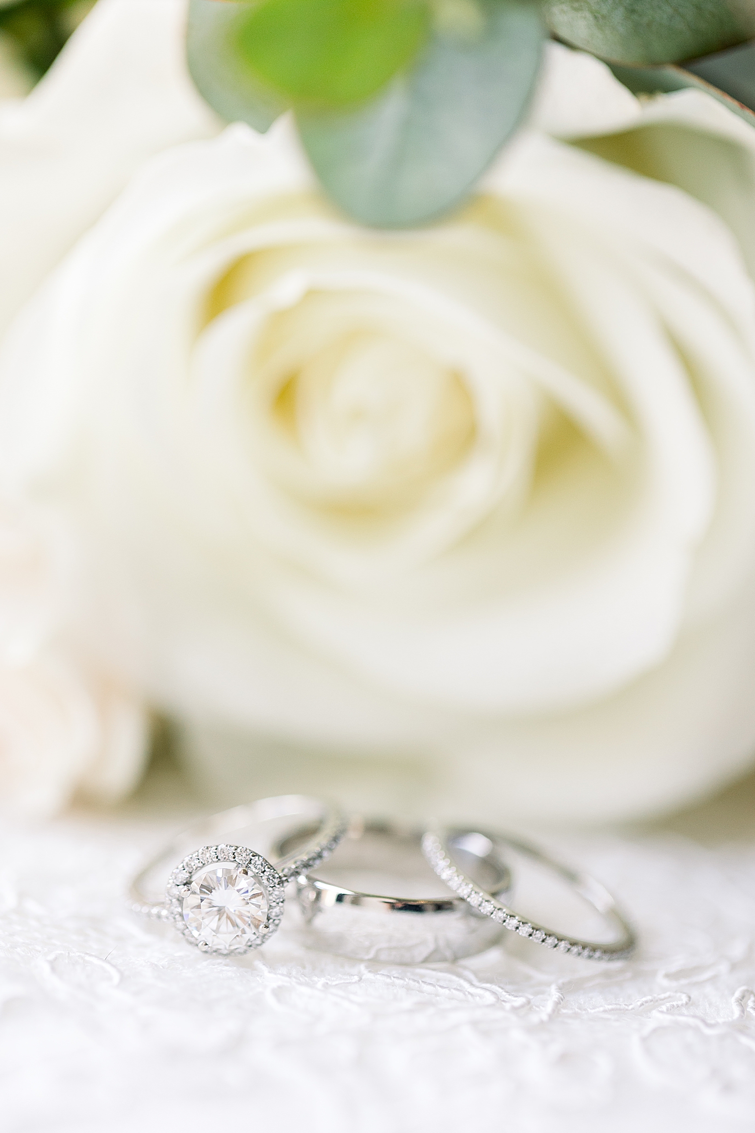 wedding rings lay in front of white rose before AL wedding