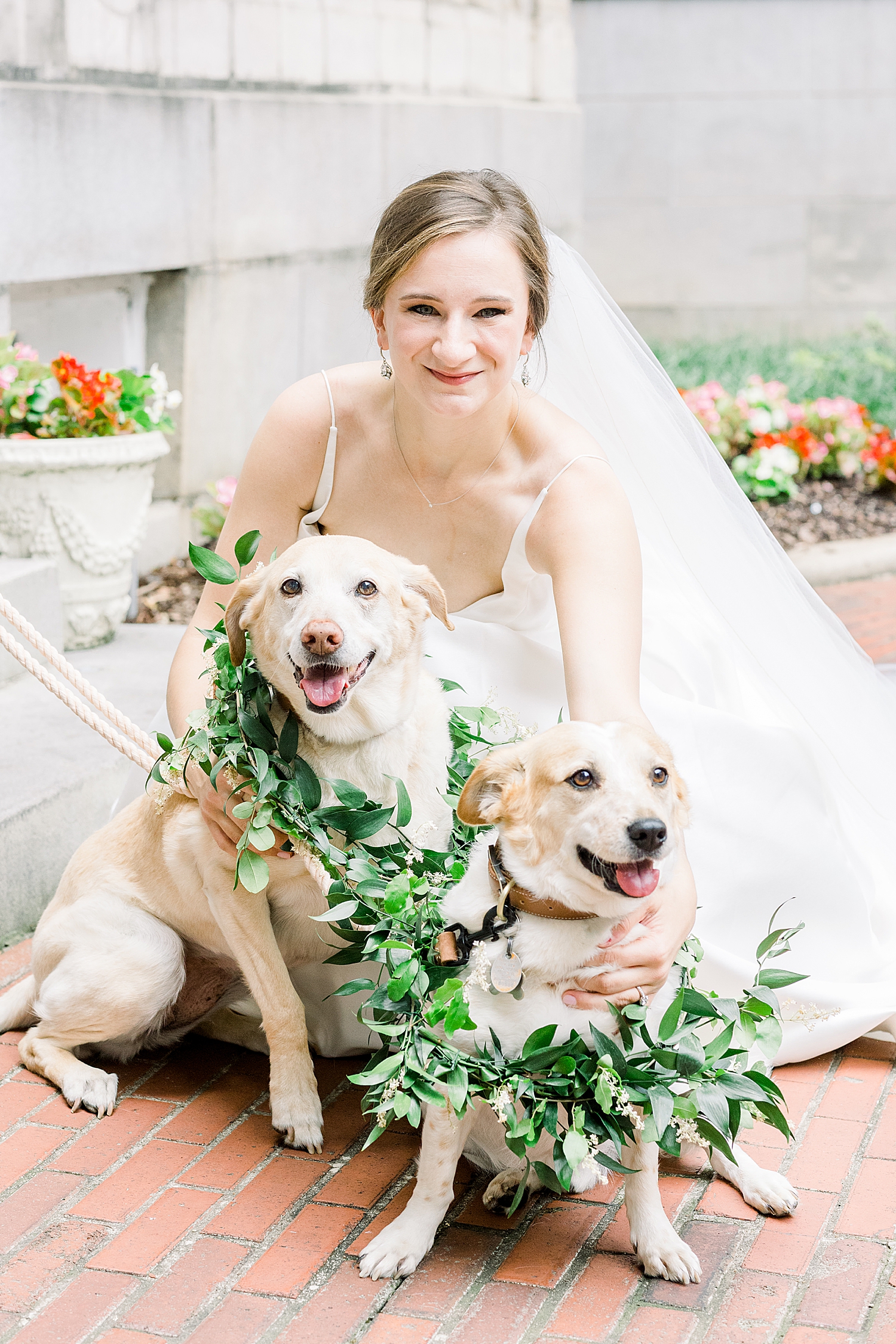 bride hugs dogs in floral crowns