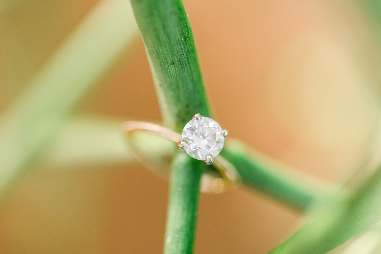 engagement ring rests on green leaves