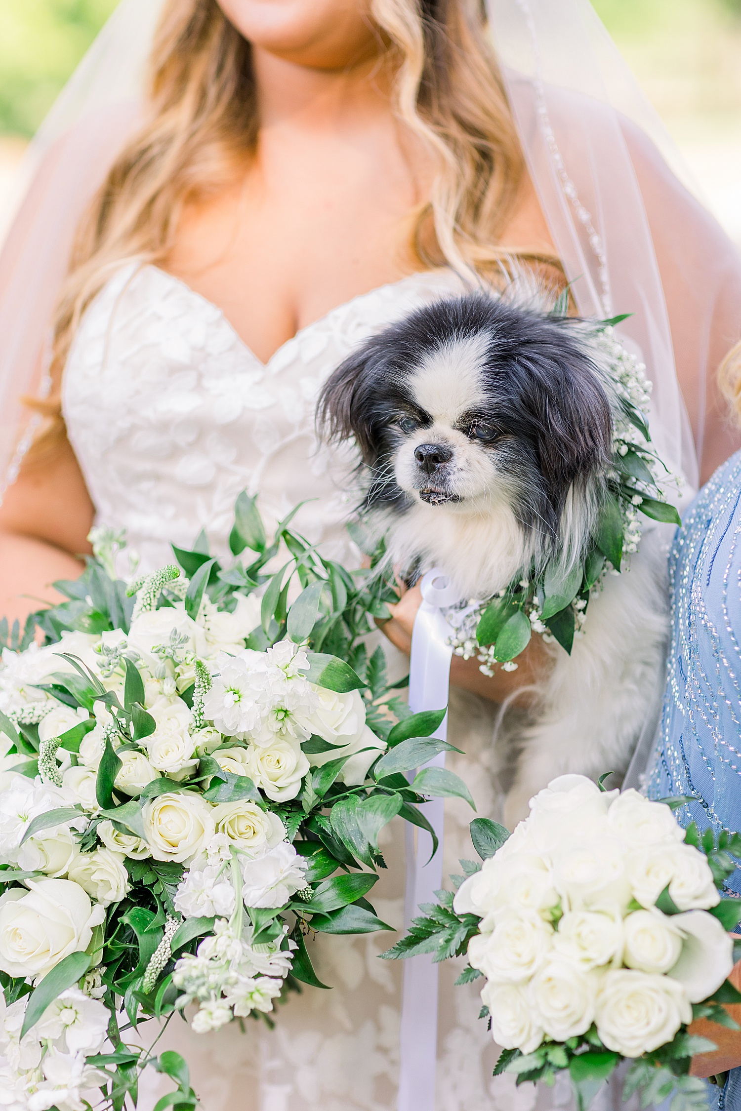 bride holds dog during portraits at Douglas Manor