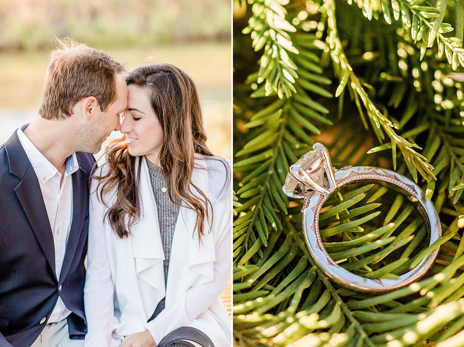 engagement ring on pine tree