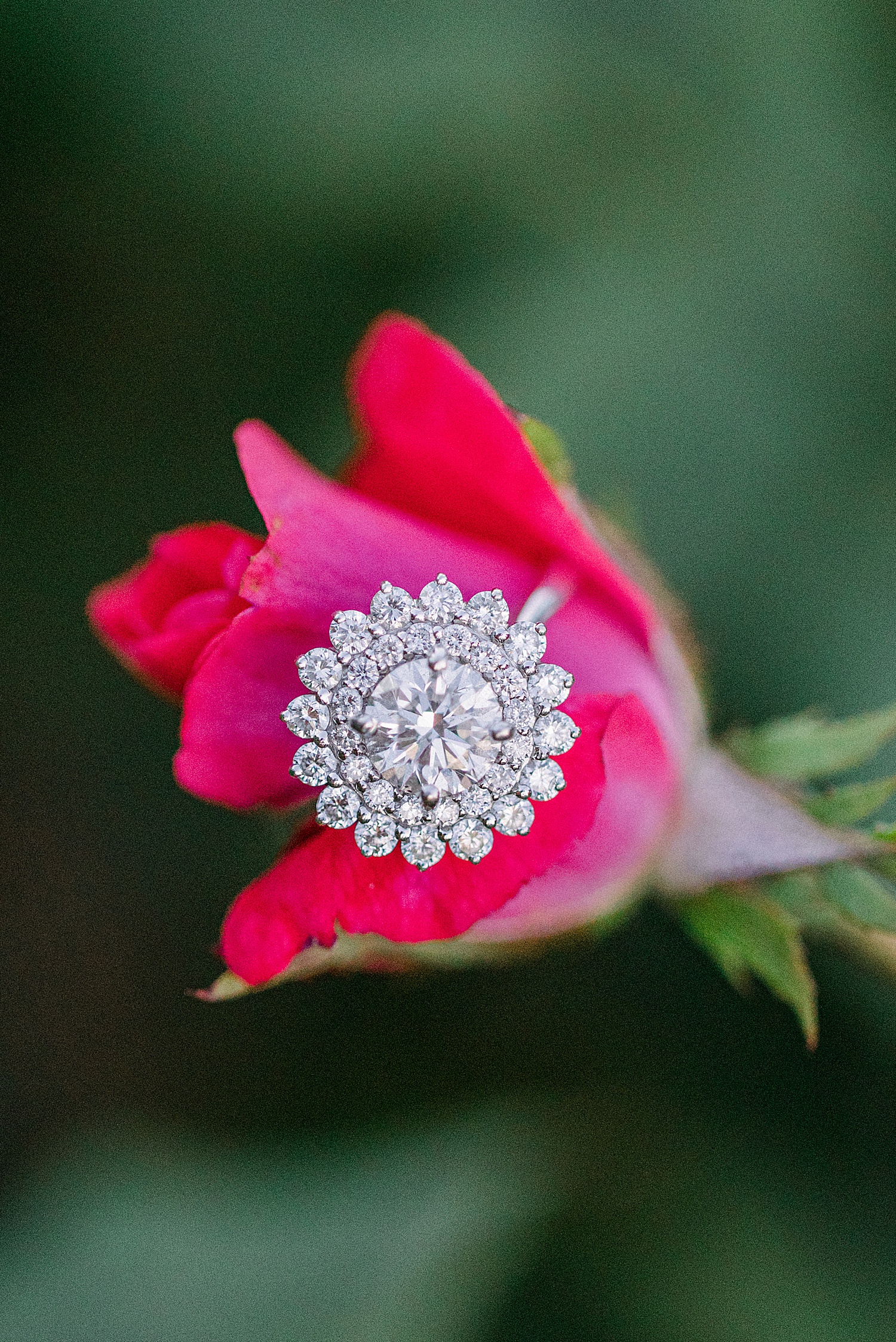 engagement ring on pink flower in Birmingham AL