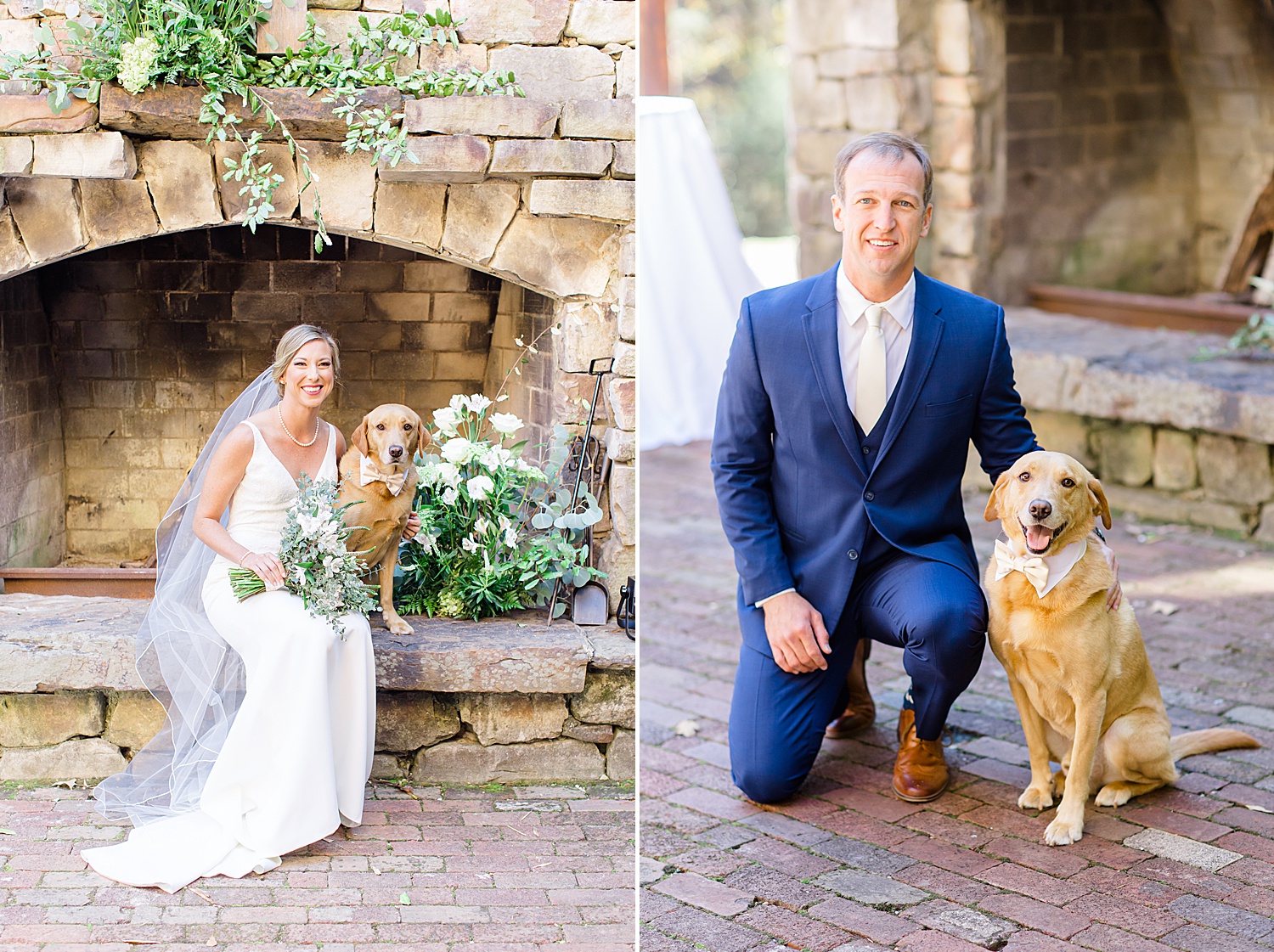 Swann Lake Stables Wedding with dog