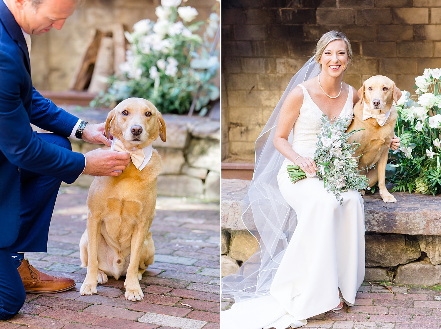 newlyweds with their dog after wedding ceremony