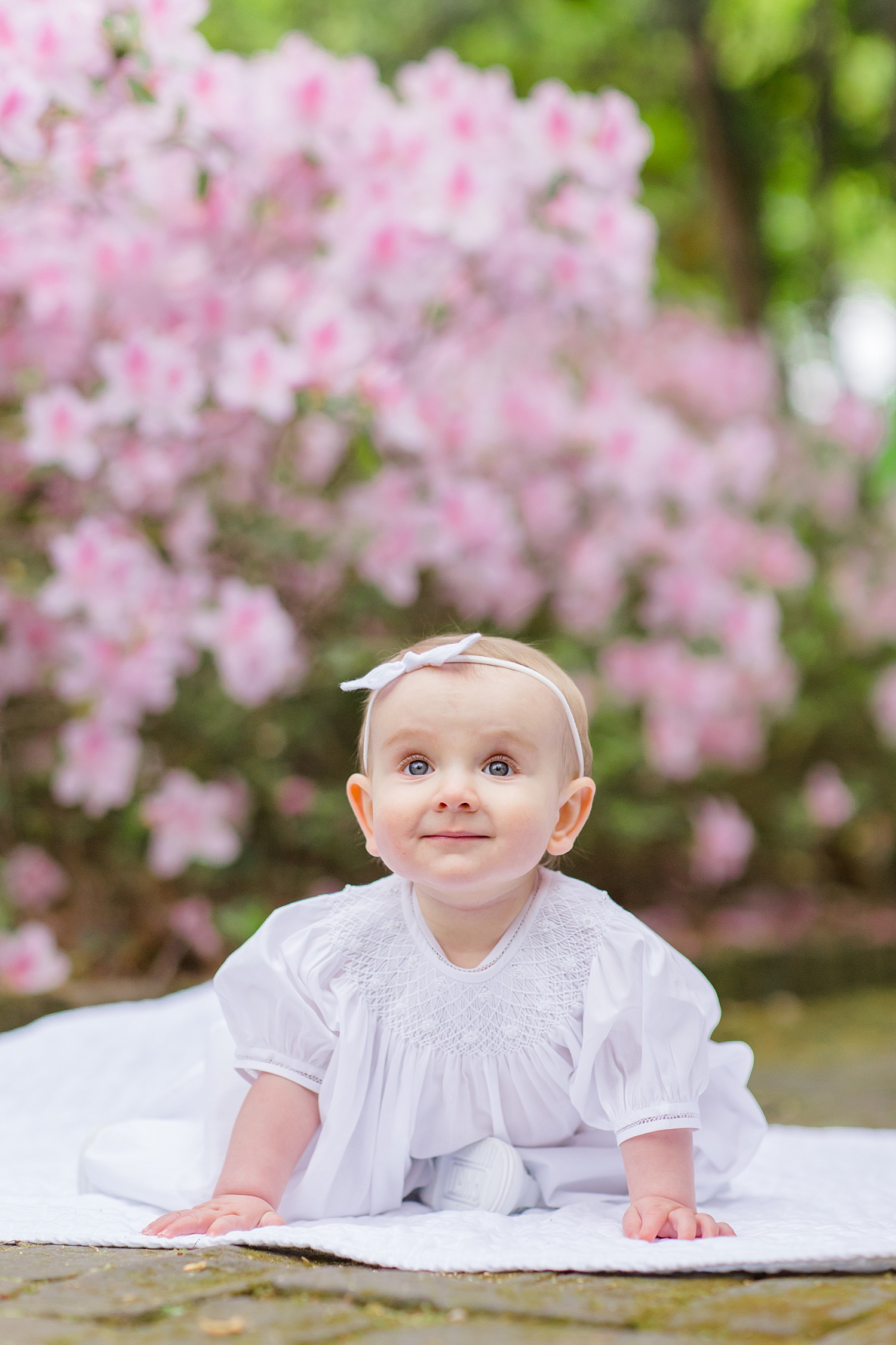 purple and pink flowers bloom in the background of garden milestone session of 9 month old baby girl