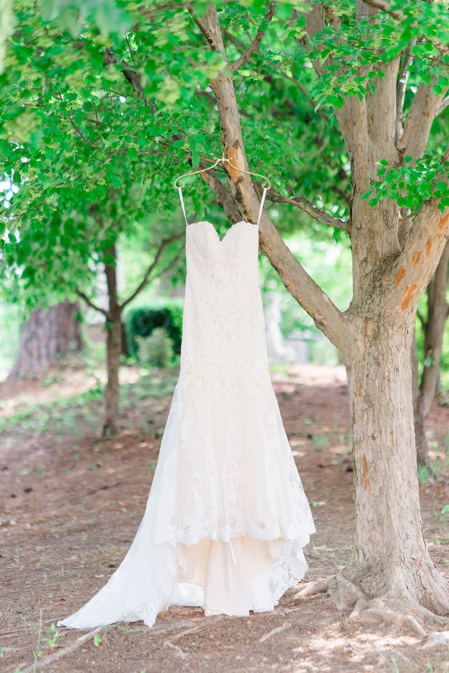 wedding dress hanging from tree outside