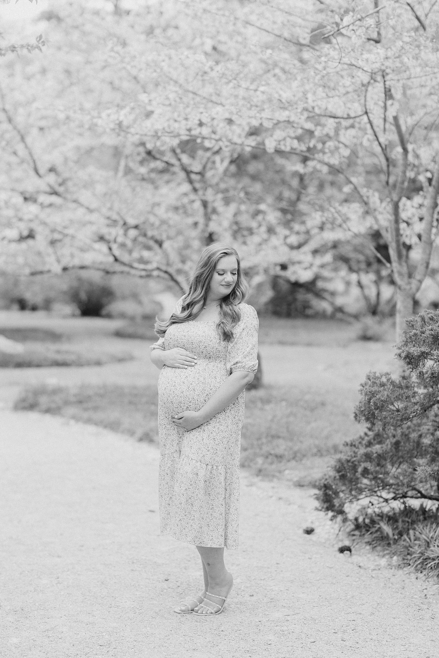 expectant mom looks off to the side during maternity portraits  