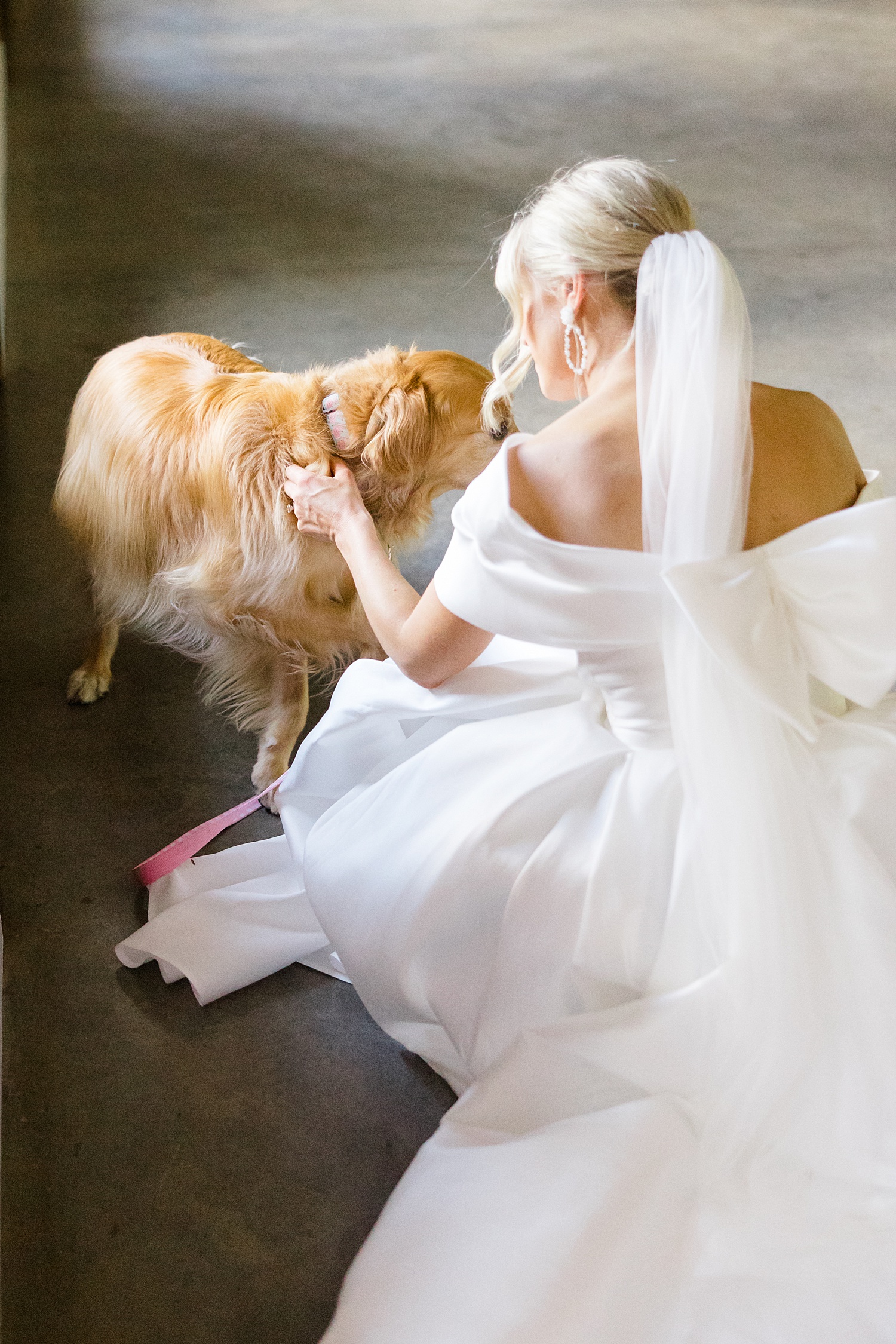 bride pets her dog