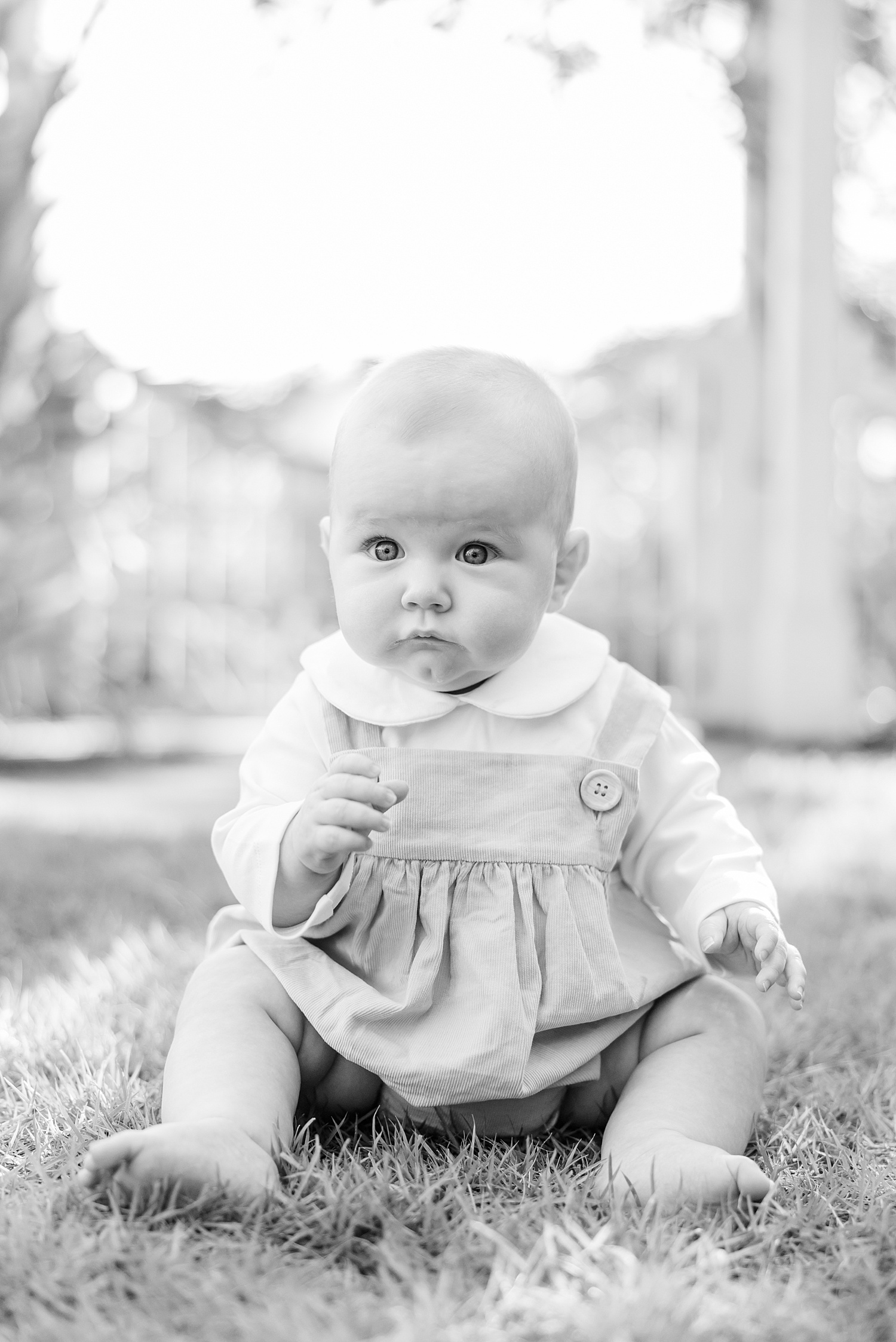 newborn and milestone portraits of 6 month old 
