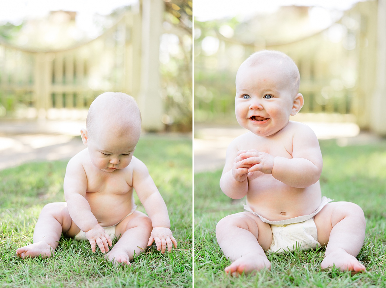 6 month old plays in grass during milestone portraits 