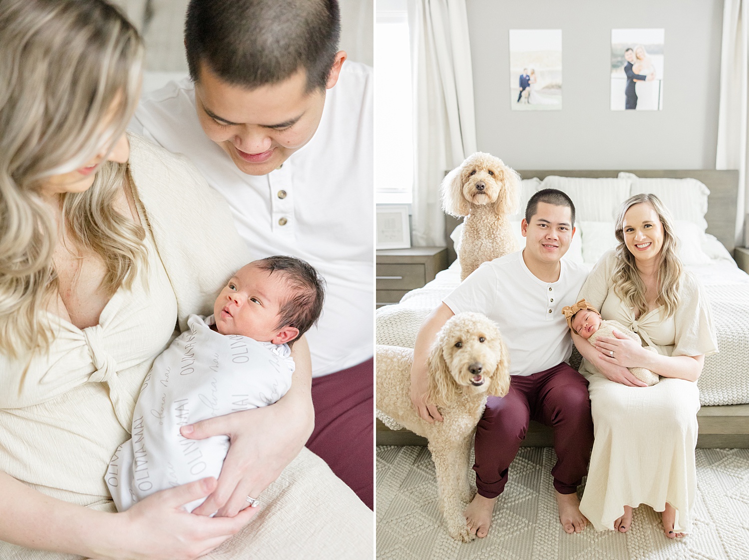 new parents hold their newborn girl with their two dogs 