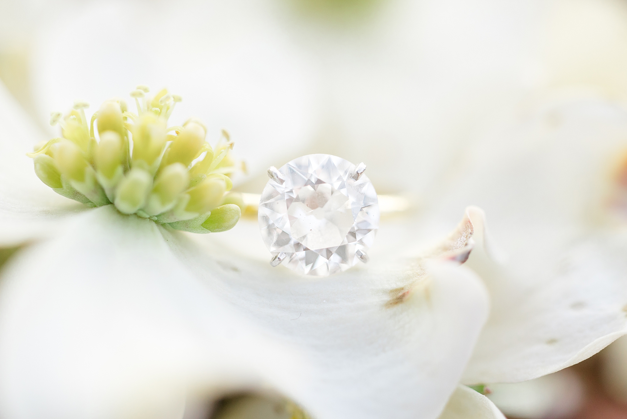 engagement ring on flower
